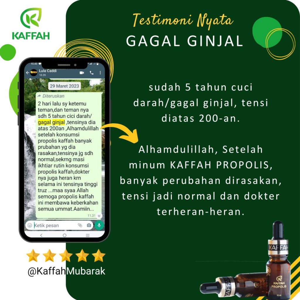 Gagal Ginjal